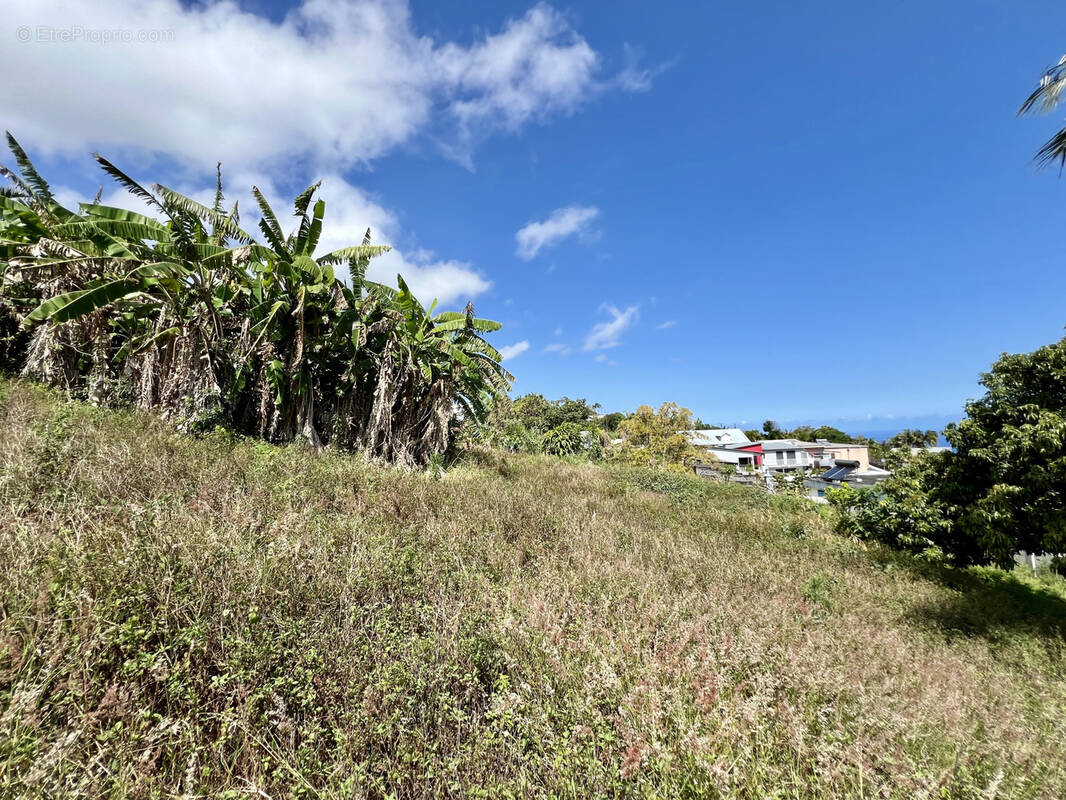 Terrain à PETITE-ILE