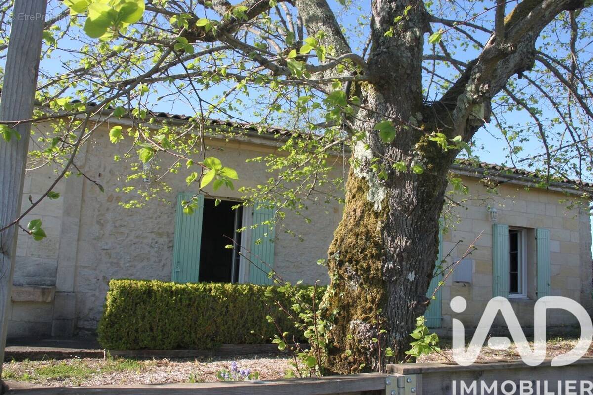 Photo 1 - Maison à SAUVETERRE-DE-GUYENNE