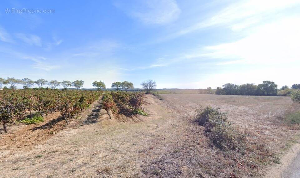 Terrain à ALIGNAN-DU-VENT