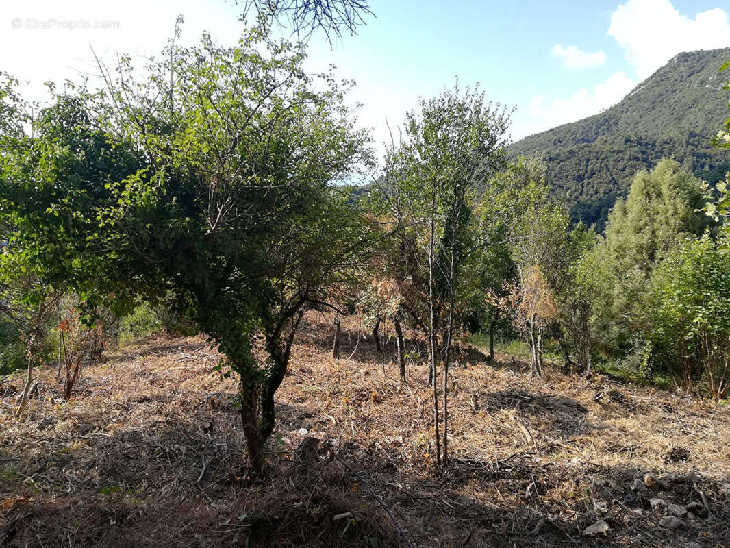 Terrain à CASTILLON