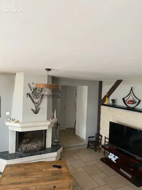 Maison 227m2 + appartement loué + terrain 7600m2 + piscine - photo 10