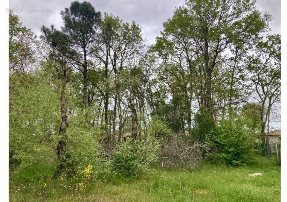 Terrain à LUDON-MEDOC