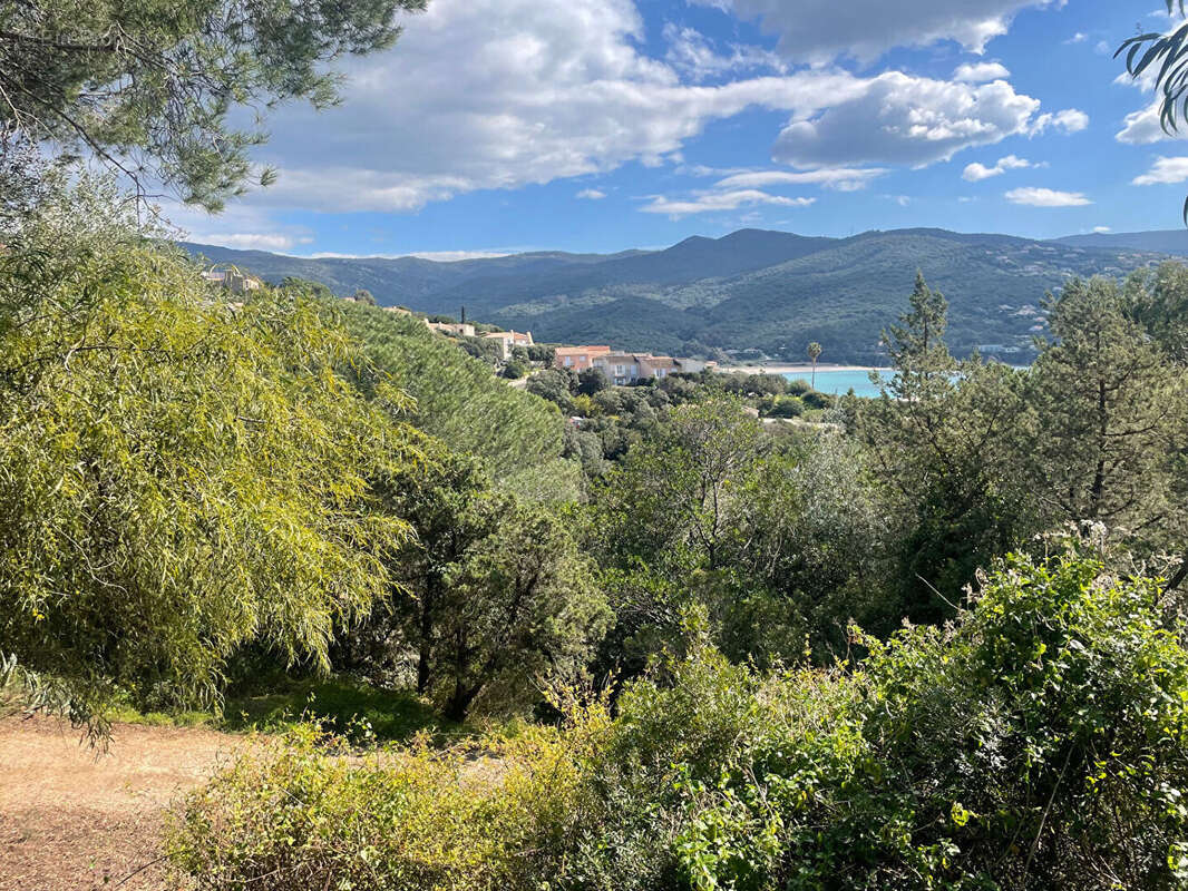 Autre à PIETROSELLA