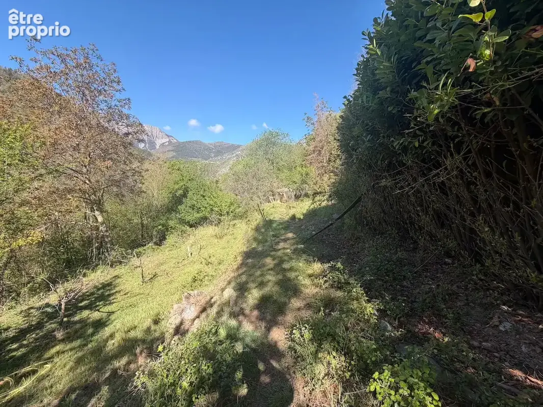 A vendre - Terrain de loisir de 2286m2 avec grange à Saint Martin Vésubie - photo 5