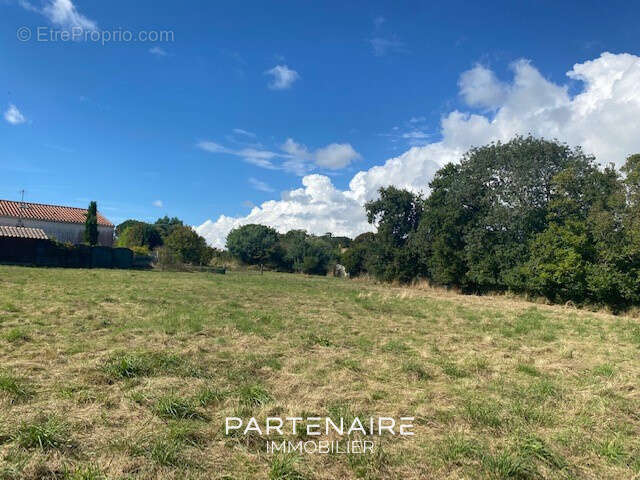 Terrain à AVRILLE