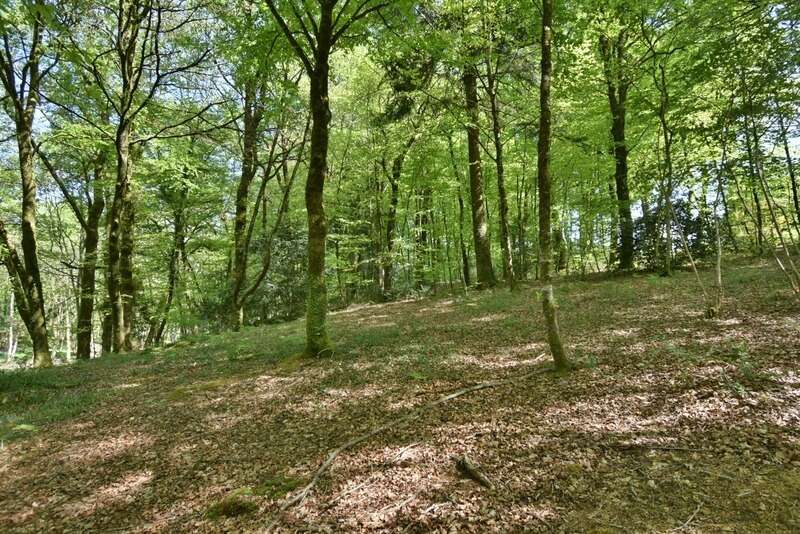 Maison à MOUSTOIR-AC