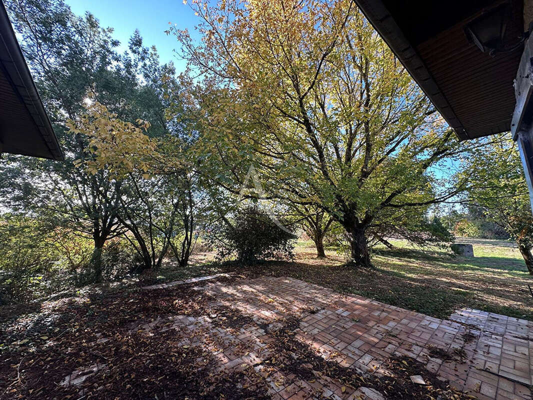 Maison à BUZET-SUR-TARN