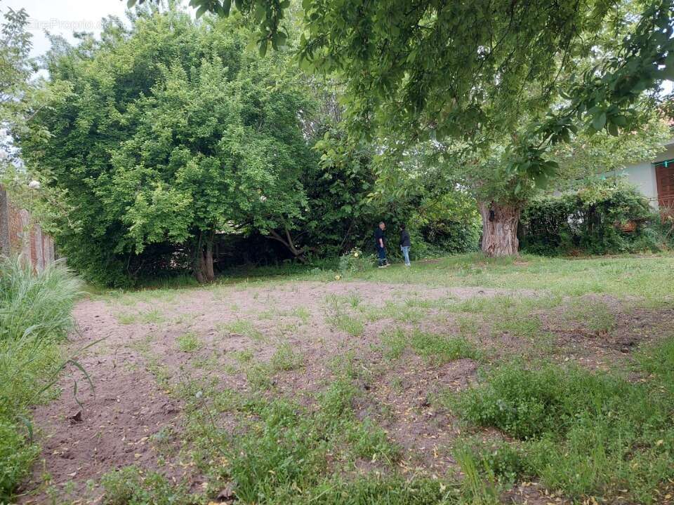 Terrain à LAUNAGUET