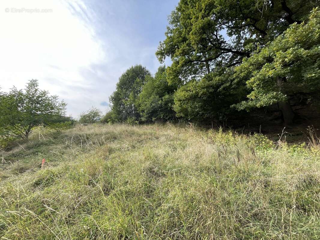 Terrain à PASSY