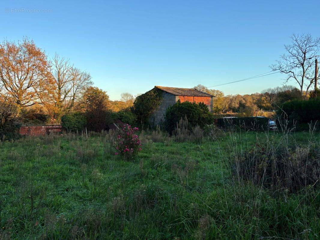 Maison à ORSENNES