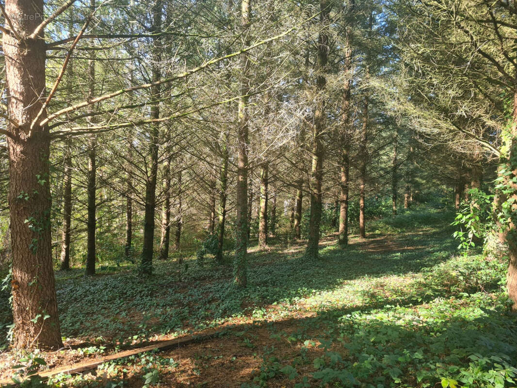 20221107_110526.jpg - Maison à VERGT