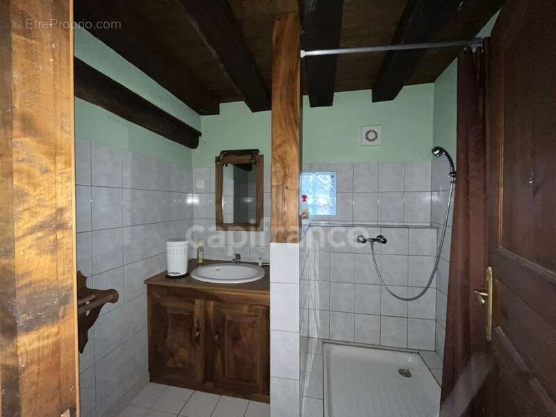 Propriété à vendre 13 pièces TANNERRE EN PUISAYE (89) - photo 7