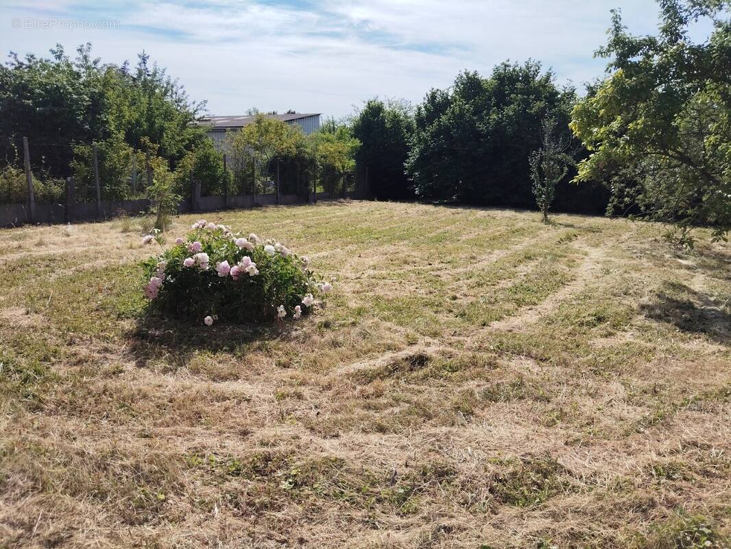 Terrain à AIGUEPERSE
