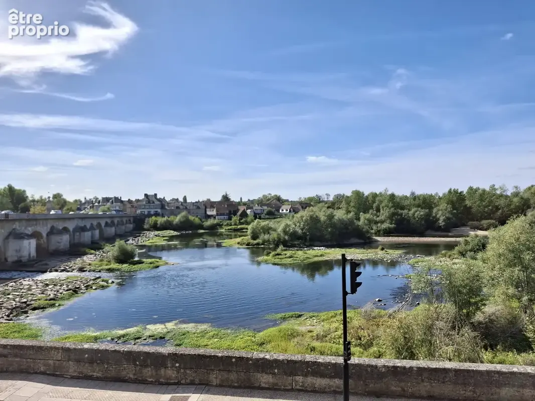 Vue Loire exceptionnelle - photo 1