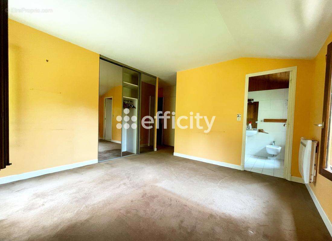 Maison 225 m² à Le Mas-D'azil  - photo 8