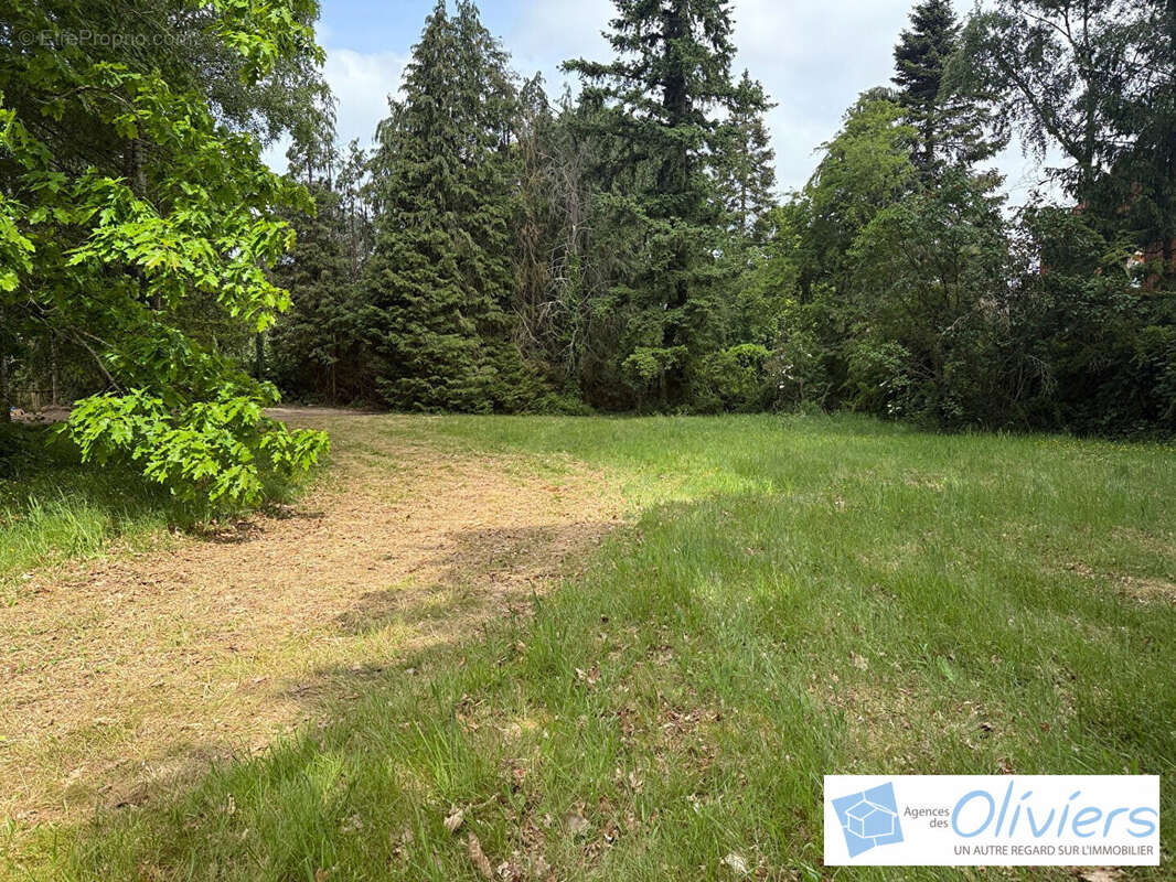 Terrain à CHEVREUSE