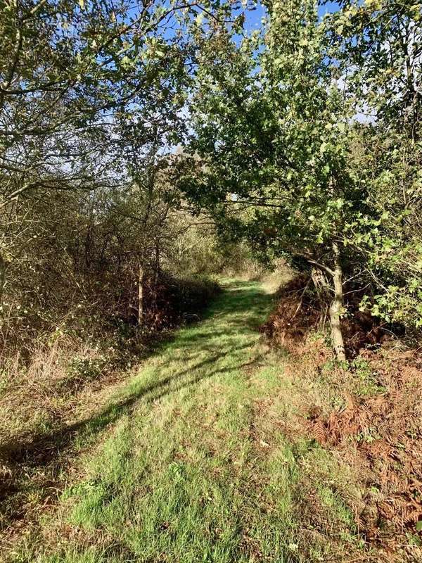 Maison à CHATEAUROUX