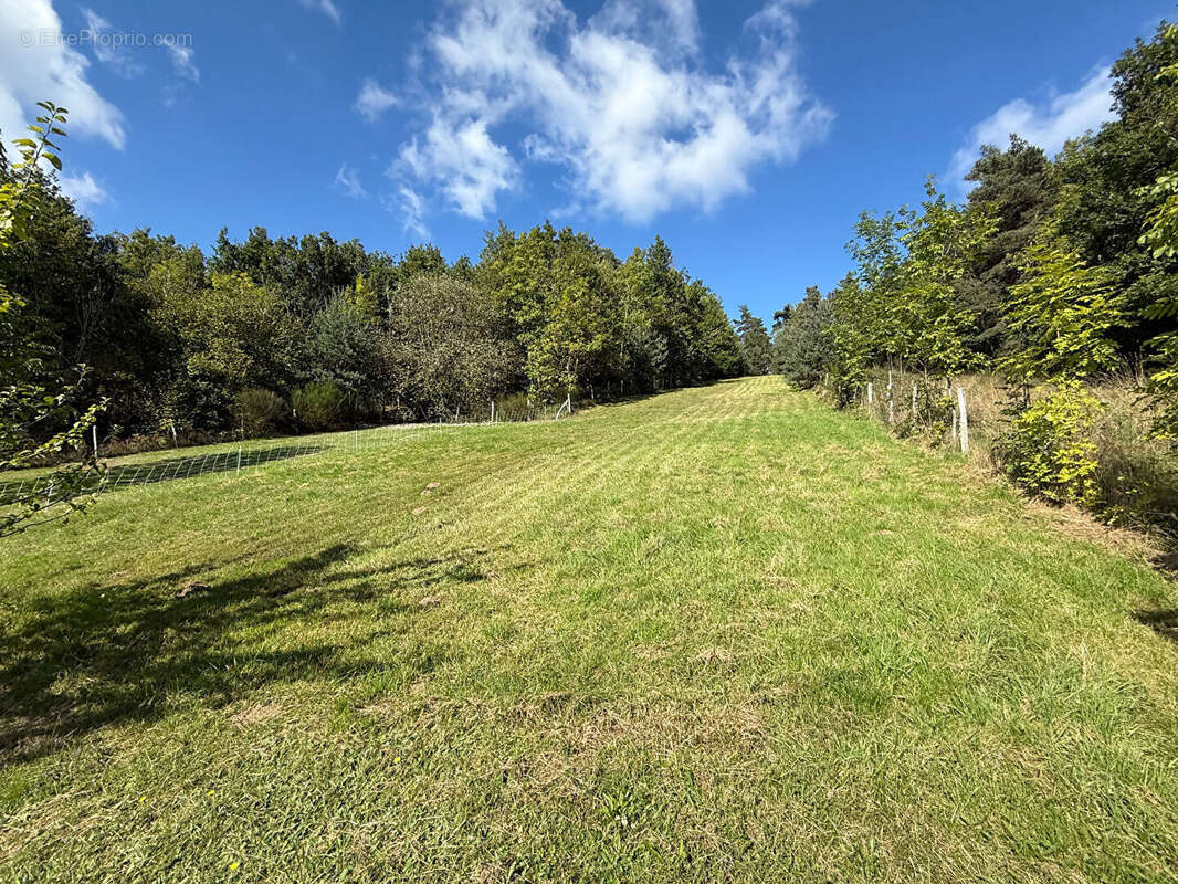 Maison à LA CHABANNE