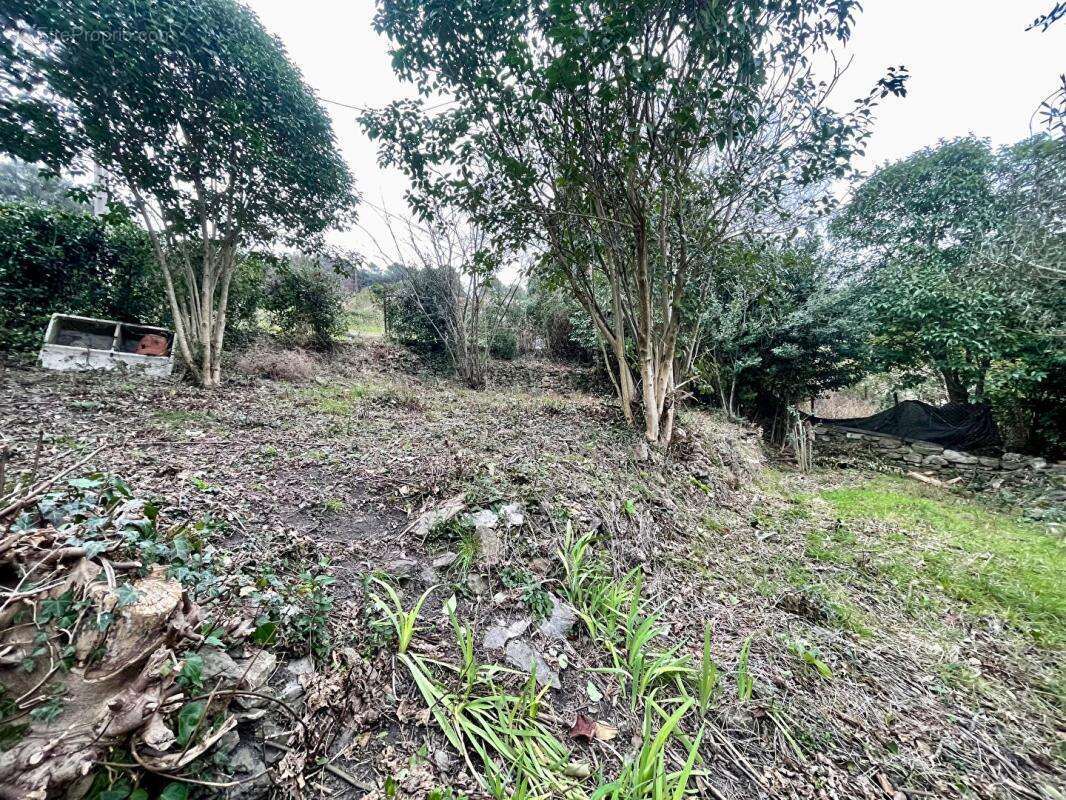 Terrain à LA GRAND-COMBE