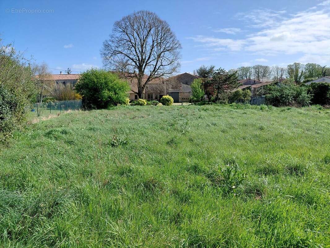 Terrain à SAINT-AGNANT