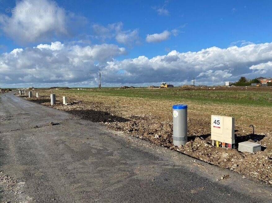 Terrain à MAZINGARBE