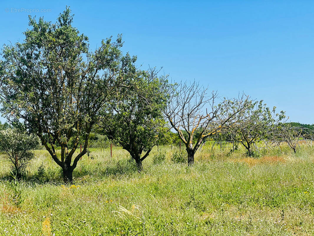 Terrain à MAUGUIO