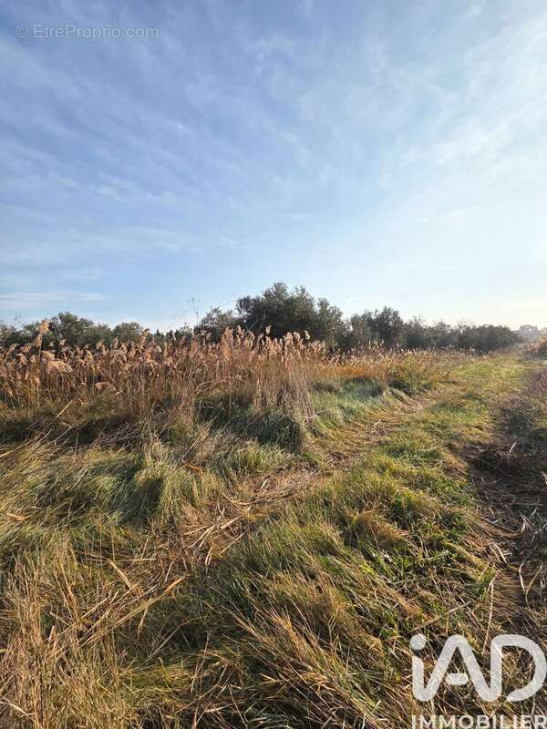 Photo 3 - Terrain à PIA