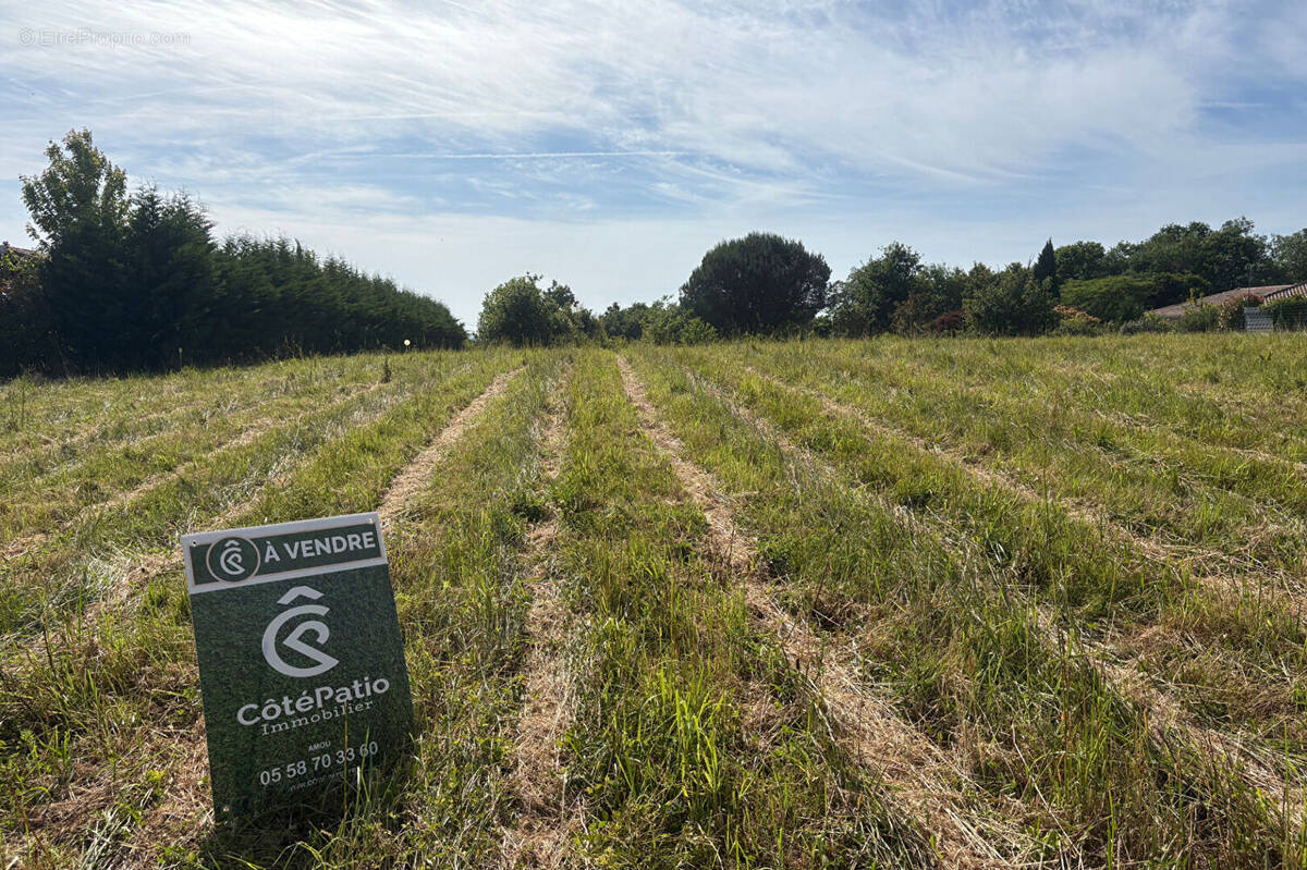 Terrain à BRASSEMPOUY