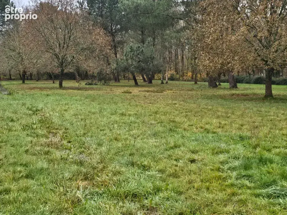 Terrain 2 520 m² à vendre à Louchats (33125) - photo 2