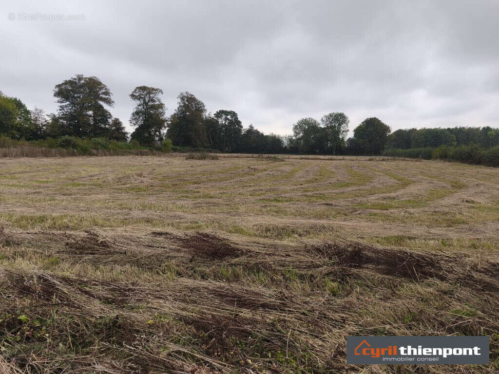 Terrain à SAINT-MAXENT