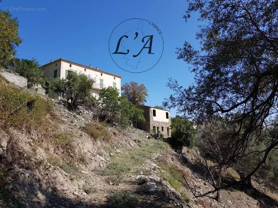 Maison à SANTO-PIETRO-DI-TENDA