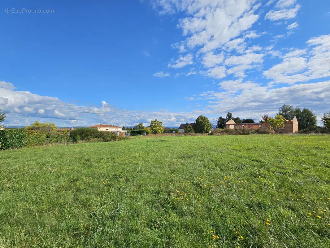 Terrain à SERBANNES