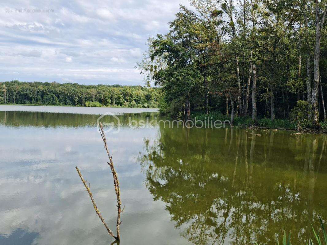 TERRAIN de 240 000 m² - photo 4