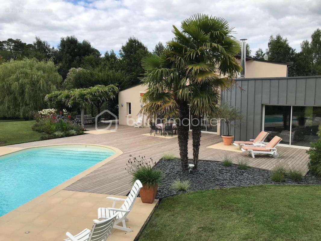 Maison d'architecte nichée dans un parc arboré, au calme absolu - photo 2