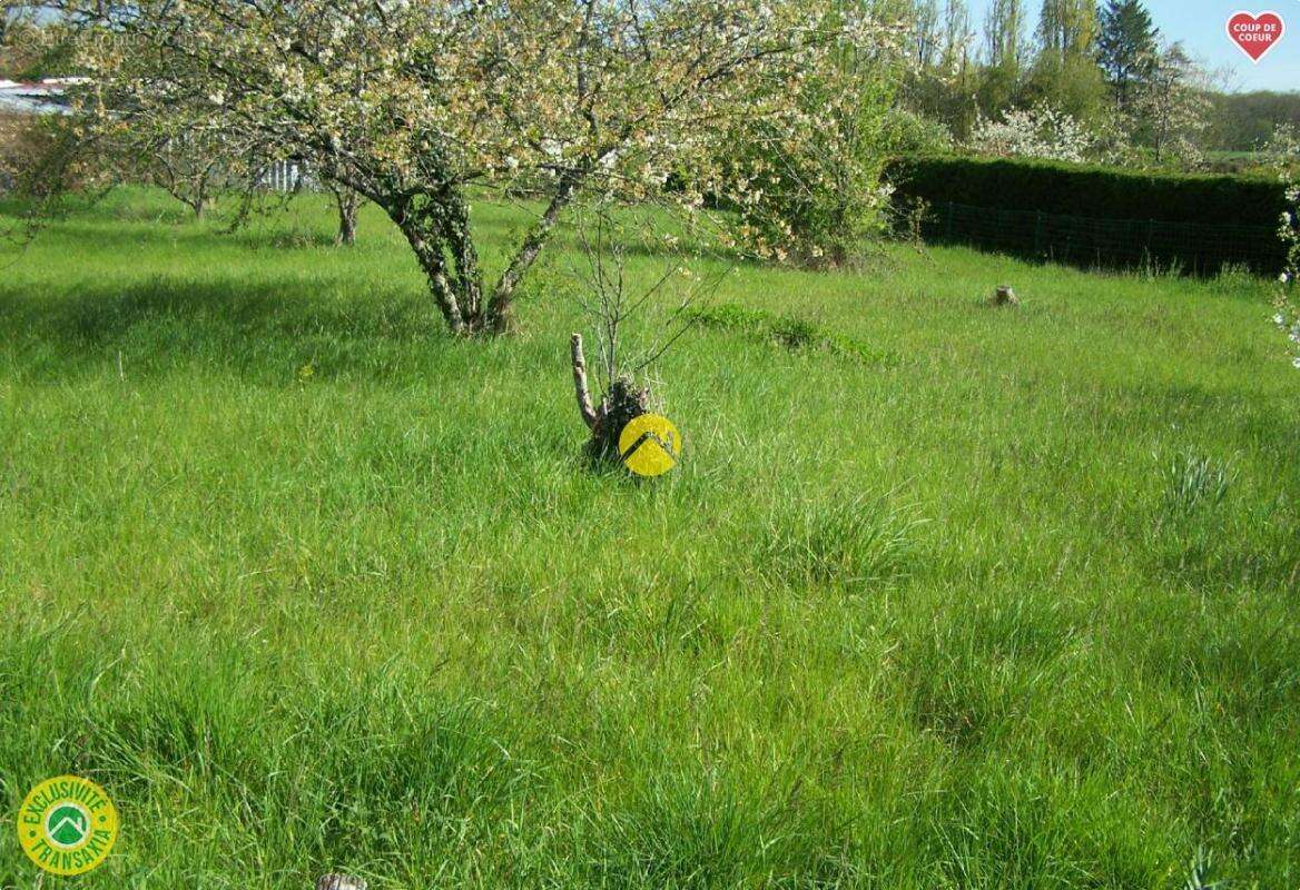 Terrain à SAINT-FLORENT-SUR-CHER