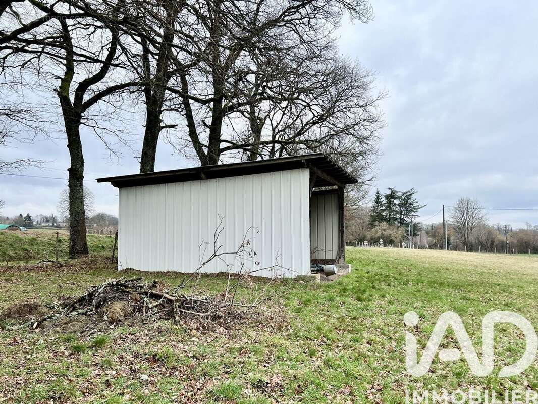 Photo 3 - Terrain à CHAMPSAC