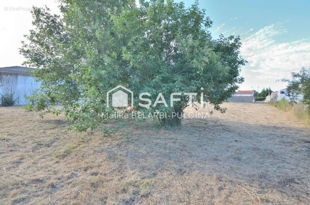 Photo 4 - Terrain à L&#039;ILE-D&#039;OLONNE