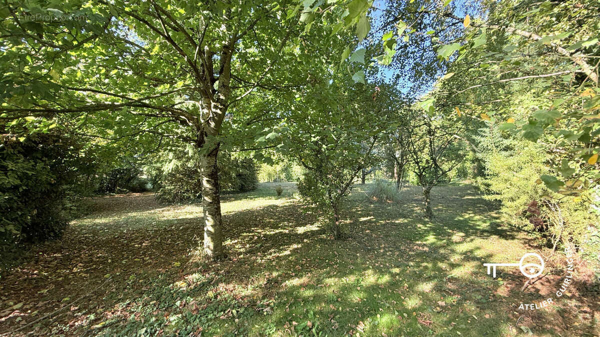Terrain à OUZOUER-LE-MARCHE