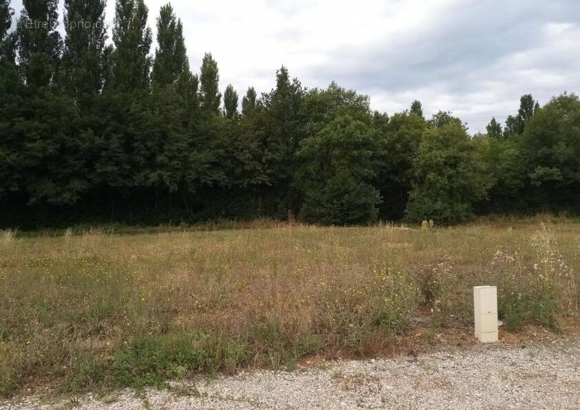 Terrain à MONTPELLIER-DE-MEDILLAN