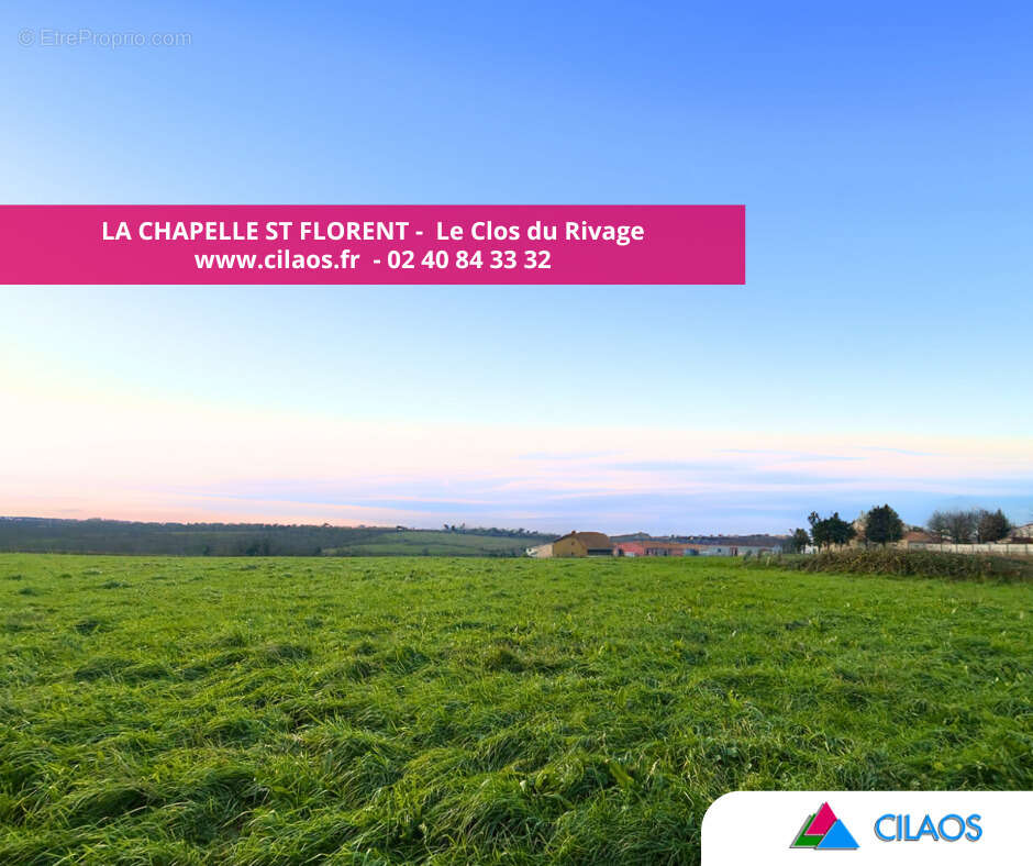 Terrain à LA CHAPELLE-SAINT-FLORENT
