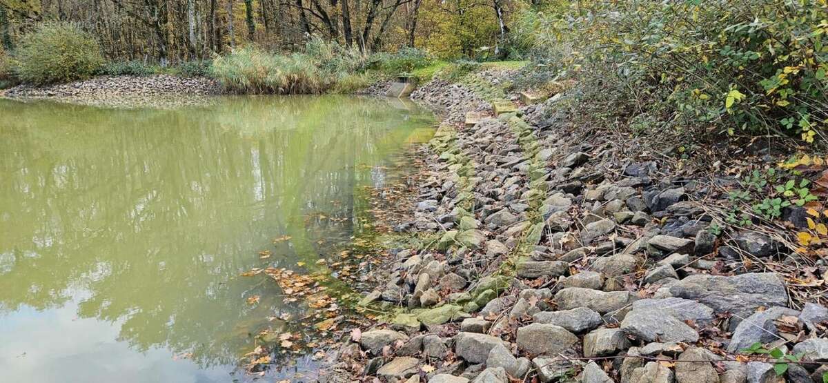 Terrain à MEZIERES-EN-BRENNE