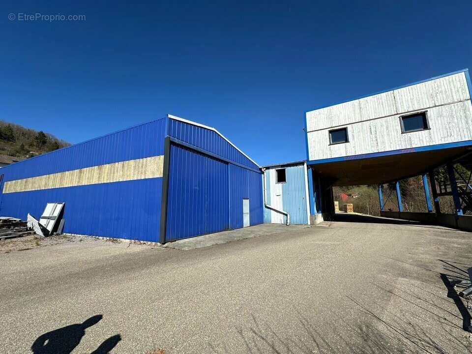 4118 m² à La Bresse  - photo 2