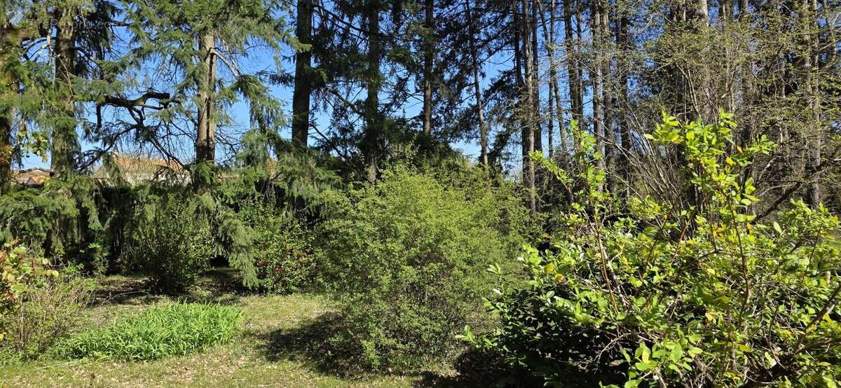 Terrain à MIGNALOUX-BEAUVOIR