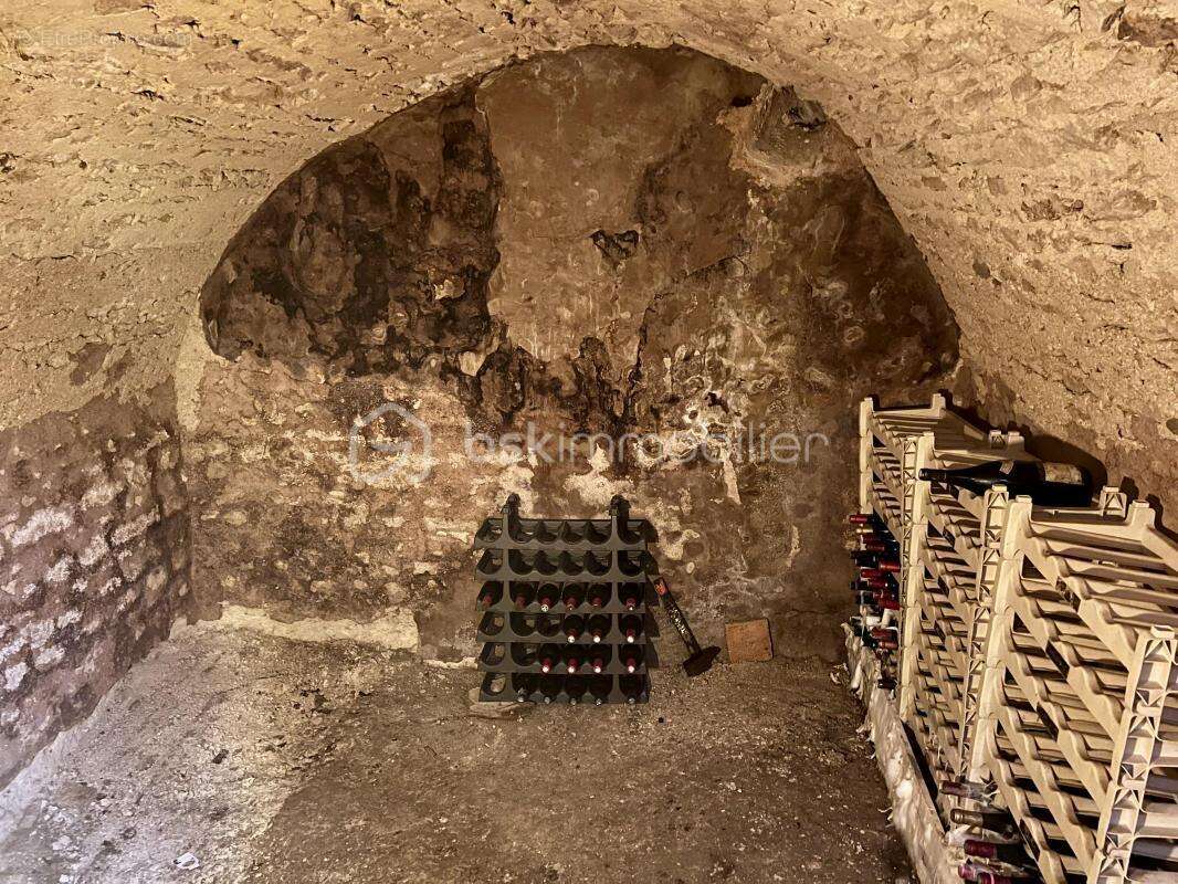 Maison à BAZOCHES-LES-GALLERANDES