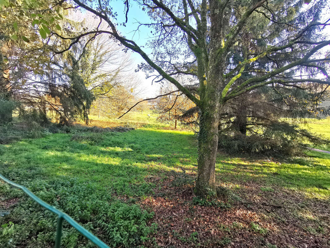 Maison rénovée avec jardin 2500m2 et grand atelier - photo 19