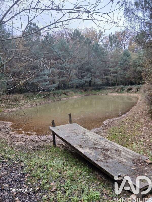 Photo 2 - Terrain à BAUGE