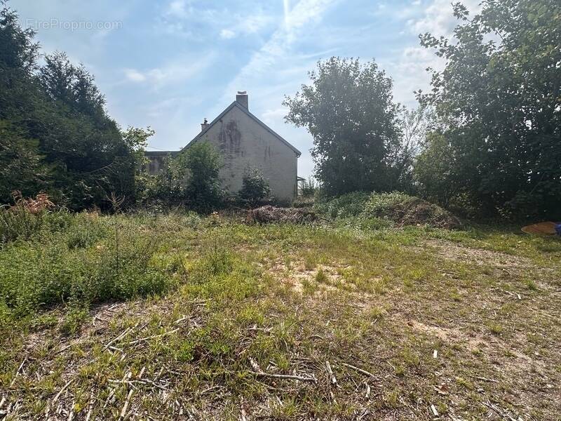Terrain à SAUSSY