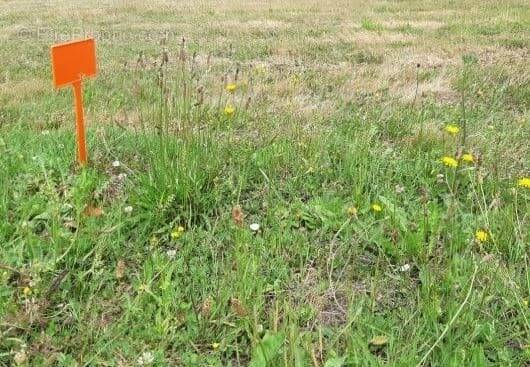 Terrain à COMMEQUIERS