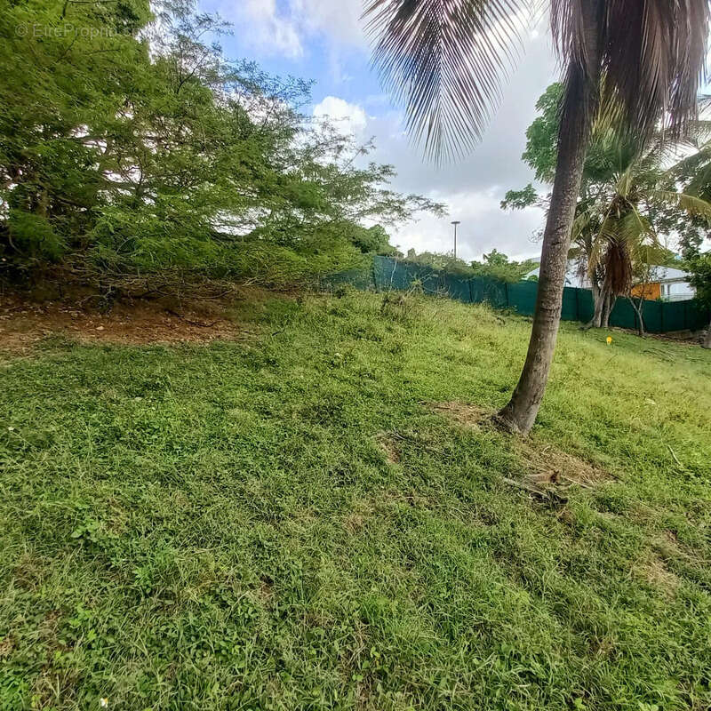 Terrain à LE GOSIER