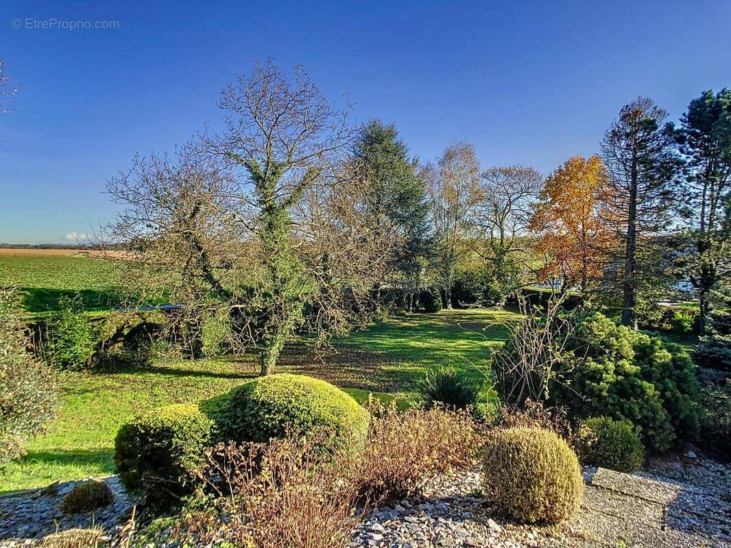 Maison à GRIESHEIM-SUR-SOUFFEL